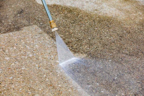 Best Dumpster Area Cleaning  in Sneedville, TN
