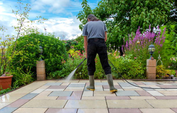 Best Restaurant Pressure Washing  in Sneedville, TN