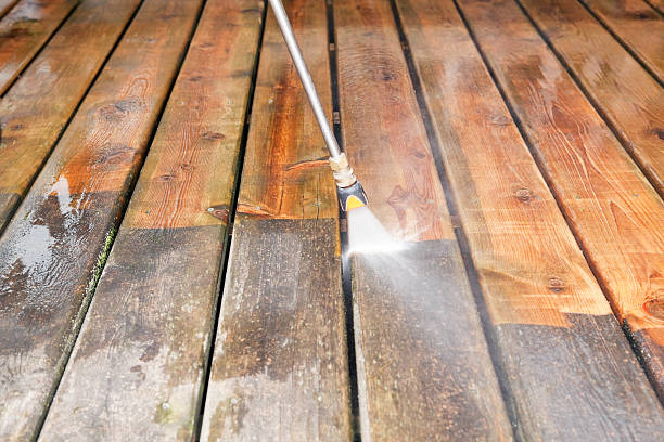 Best Fence Cleaning  in Sneedville, TN